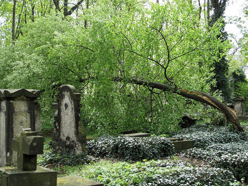 2011-04-16, Eliasfriedhof (70).JPG